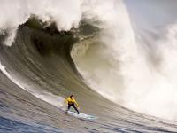 FB体育在线-南半球奇迹，新西兰打穿曼联防线，加克波化身关键先生